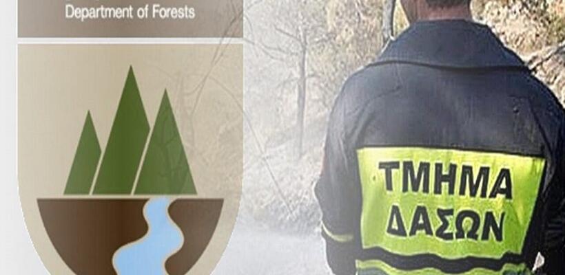 Θέση εργασίας στο Τμήμα Δασών – Όλες οι πληροφορίες