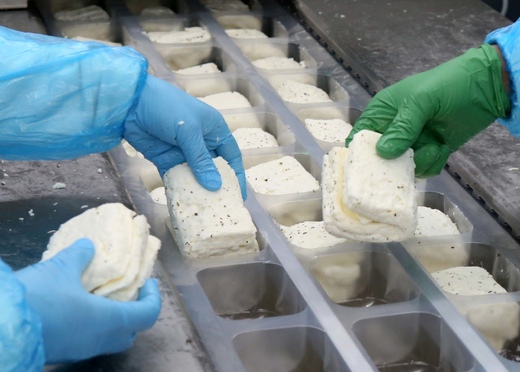 Αφθώδης πυρετός: Πλήγμα στις εξαγωγές και σενάρια για εμπάργκο - Κρίσιμη η επάρκεια γάλακτος