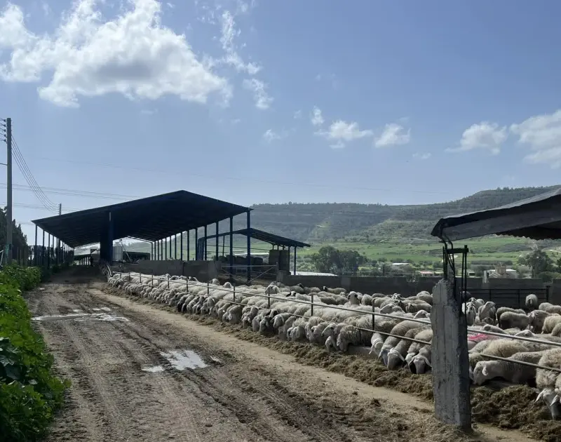 Λετυμπιώτης: «Δεν υπάρχουν εξαιρέσεις στα πρωτόκολλα για τον αφθώδη πυρετό»