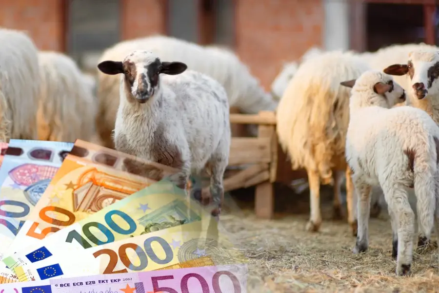 Πράσινο φως από το Υπουργικό για αποζημιώσεις €35,6 εκατ. στους κτηνοτρόφους