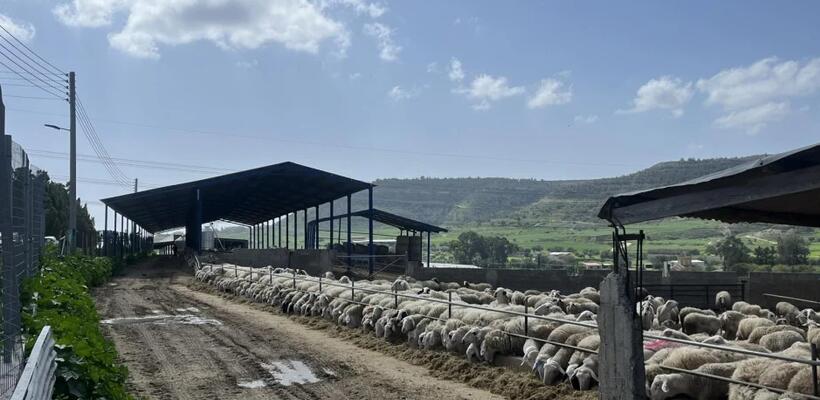 Αυστηρότερα μέτρα για τον αφθώδη πυρετό με νέο διάταγμα