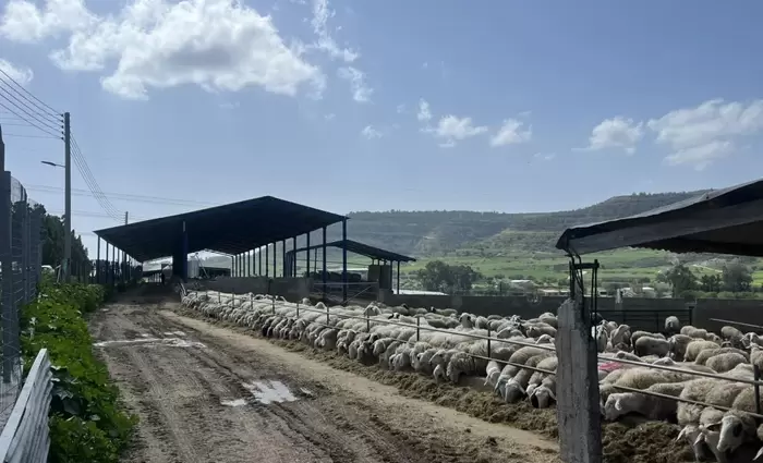 Αυστηρότερα μέτρα για τον αφθώδη πυρετό με νέο διάταγμα