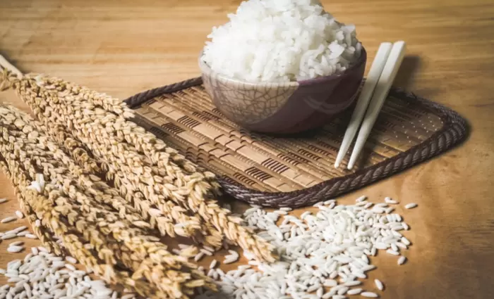 Σε υψηλό δυο ετών οι τιμές στο ρύζι λόγω πολέμου στο Ιράν