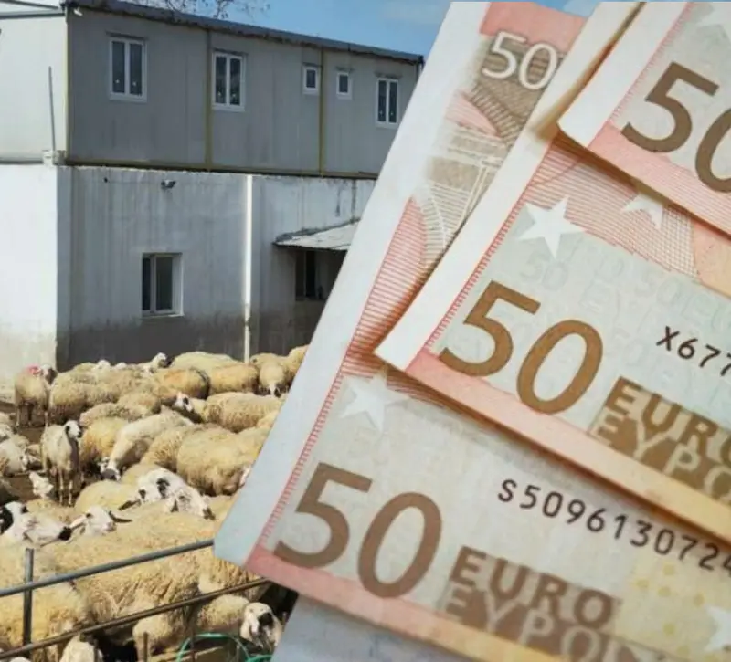 Διευκρινίσεις για τις αποζημιώσεις των κτηνοτρόφων - Πάνω από €35,6 εκατ. για στήριξη και ανασυγκρότηση