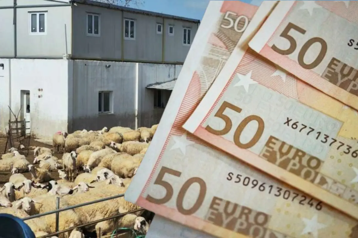 Διευκρινίσεις για τις αποζημιώσεις των κτηνοτρόφων - Πάνω από €35,6 εκατ. για στήριξη και ανασυγκρότηση