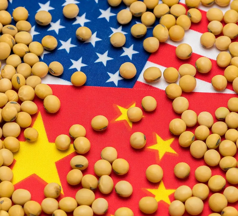 Σόγια: Ισχυρή πτώση στις τιμές μετά τις δηλώσεις Τραμπ για πιθανή αναβολή των συνομιλιών ΗΠΑ-Κίνας