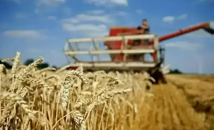 Στα ύψη το σιτάρι μετά τις επιθέσεις στη Μαύρη Θάλασσα – Απειλούνται οι εξαγωγές