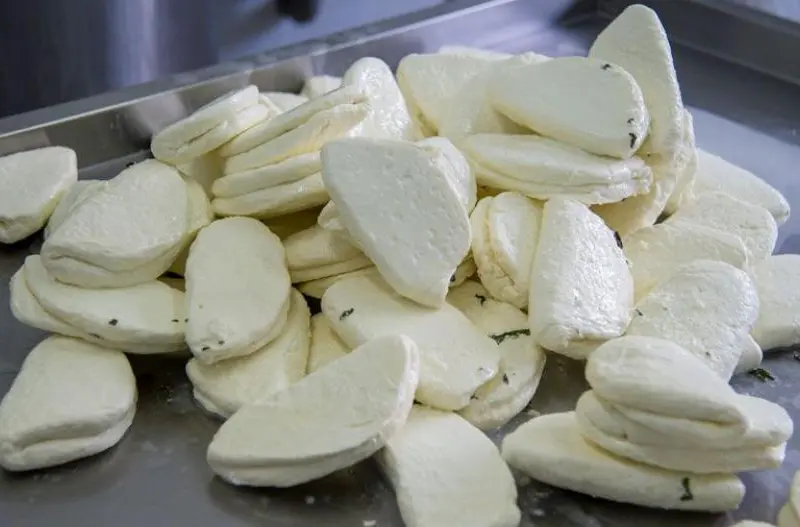 Σ. Καδής για δημοσιεύματα περί εισαγωγών αιγοπροβάτων: Δεν τίθεται θέμα για το χαλούμι ΠΟΠ