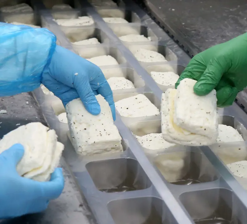 Αφθώδης πυρετός: Πλήγμα στις εξαγωγές και σενάρια για εμπάργκο - Κρίσιμη η επάρκεια γάλακτος