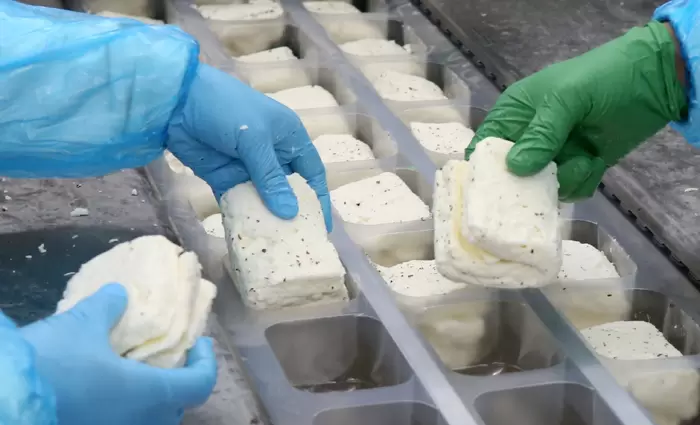 Αφθώδης πυρετός: Πλήγμα στις εξαγωγές και σενάρια για εμπάργκο - Κρίσιμη η επάρκεια γάλακτος