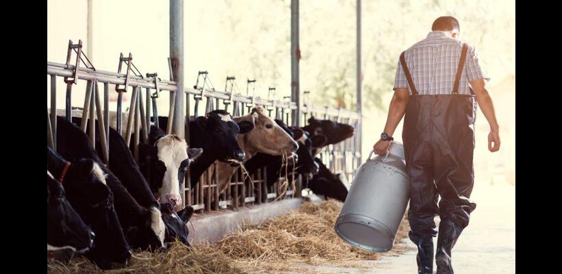 Αντιδράσεις κτηνοτρόφων για τις δειγματοληψίες αφθώδους πυρετού