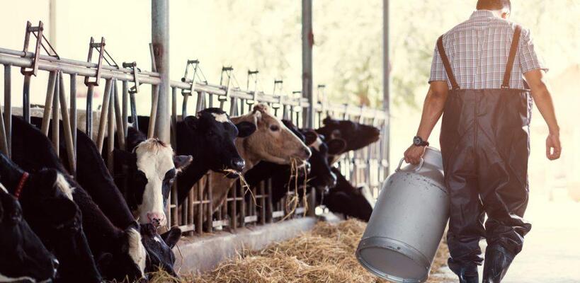 Αντιδράσεις κτηνοτρόφων για τις δειγματοληψίες αφθώδους πυρετού