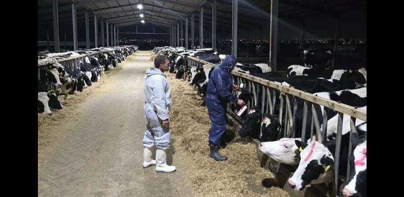 Αφθώδης πυρετός: Επιπτώσεις και μέτρα στο επίκεντρο συνάντησης ΚΟΑΠ - Στ. Μαλά