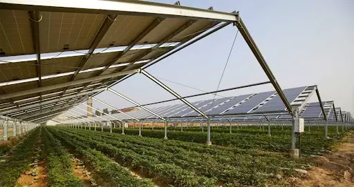 Δικαστήριο παγώνει φωτοβολταϊκό 3,7 MW στη Λευκωσία — Βλέπει κίνδυνο ανεπανόρθωτης περιβαλλοντικής ζημιάς