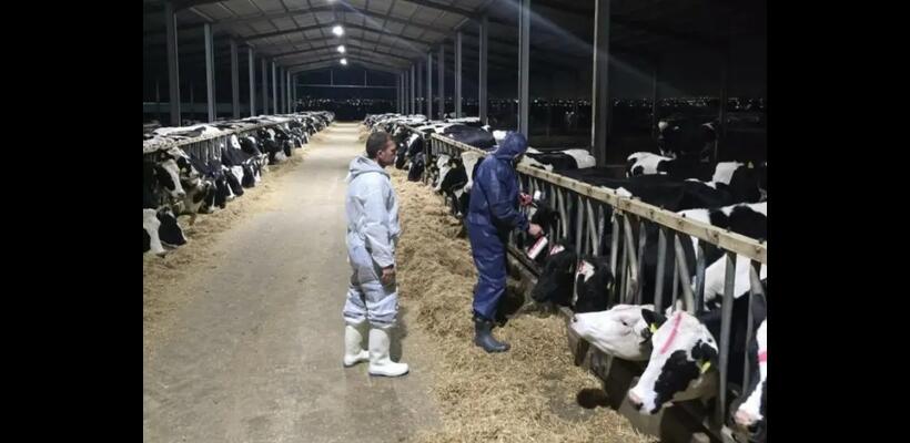 Κτηνοτρόφοι: Επιστολή στον Χριστοδουλίδη για συνάντηση - Θα ζητήσουν τερματισμό θανατώσεων