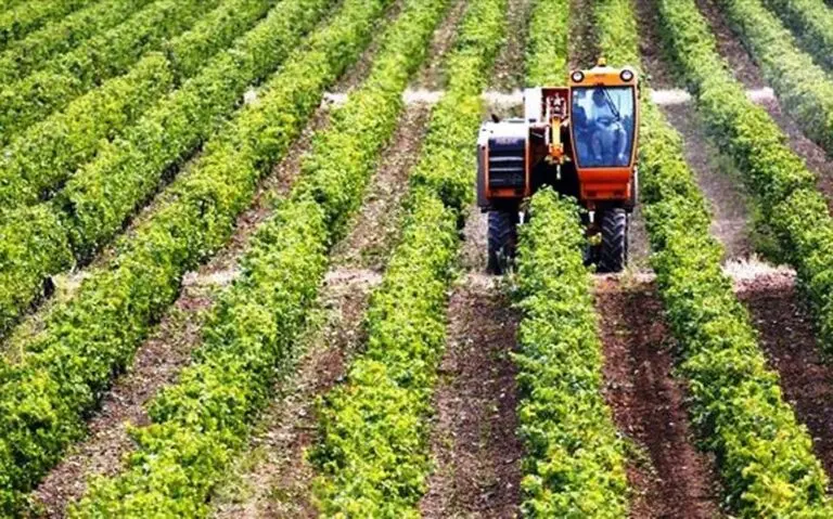 ΚΟΑΠ: Παράταση στις αιτήσεις για τις εκταρικές επιδοτήσεις