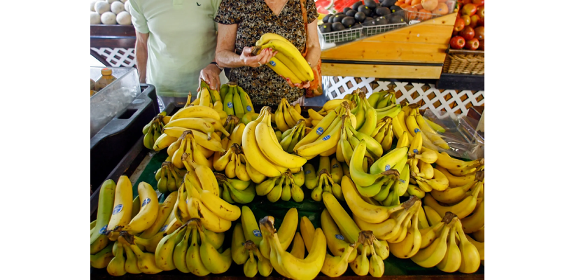 Chiquita: Έρχονται αυξήσεις στις τιμές της μπανάνας – Η απειλή του Ελ Νίνιο και το δύσκολο 2027