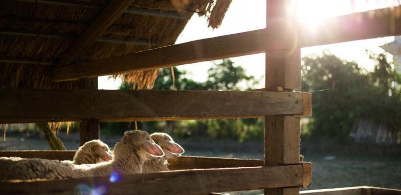 «Είμαστε ακόμη στην αρχή - Η καταπολέμηση του αφθώδους πυρετού ενδεχομένως να πάρει έξι μήνες»