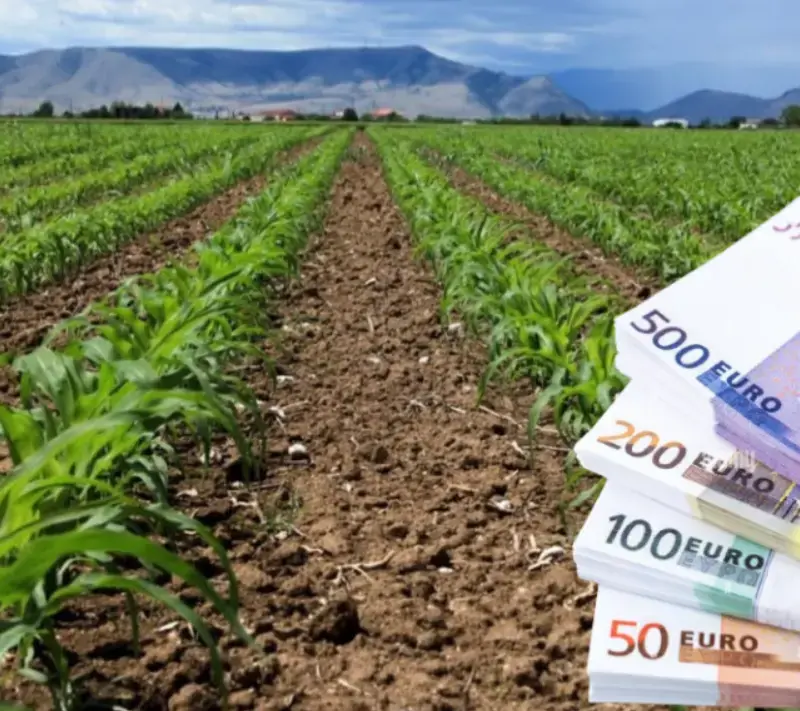 «Πράσινο» Υπουργικού για οικονομική ενίσχυση γεωργών λόγω θεομηνιών