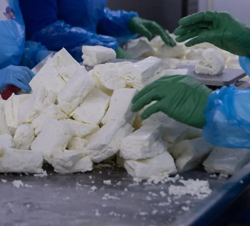 Επιστολή Συνδέσμου Τυροκόμων στα αρμόδια Υπουργεία για λήψη άμεσων και προληπτικών μέτρων για τον αφθώδη πυρετό