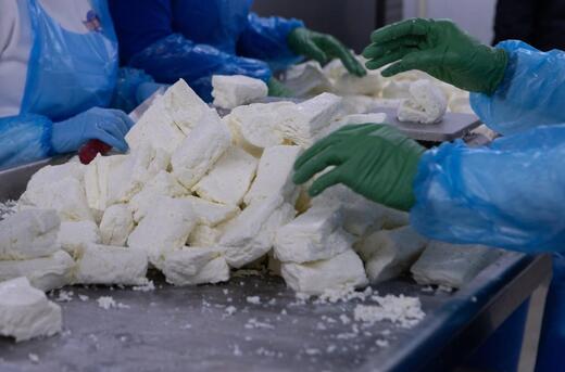 Επιστολή Συνδέσμου Τυροκόμων στα αρμόδια Υπουργεία για λήψη άμεσων και προληπτικών μέτρων για τον αφθώδη πυρετό