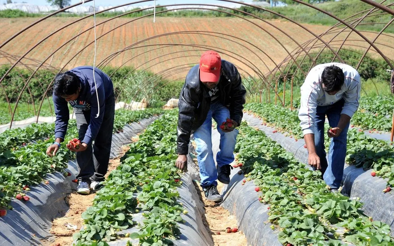 Ελλάδα: Έρχονται ακόμη 32.517 εργαζόμενοι από τρίτες χώρες