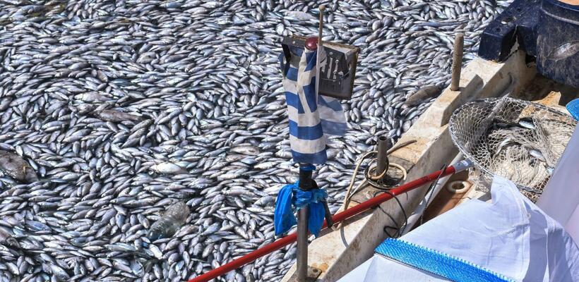 SPIEGEL: Ποιος φταίει τελικά για την καταστροφή στον Βόλο;