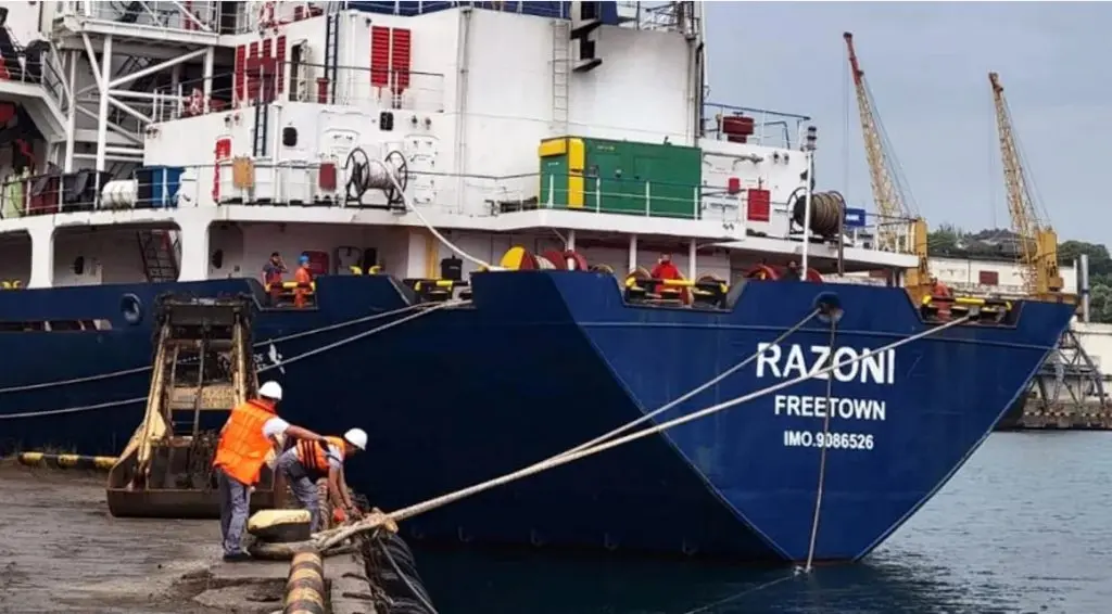 Ανακουφίζει η αναχώρηση του πρώτου πλοίου με ουκρανικά σιτηρά