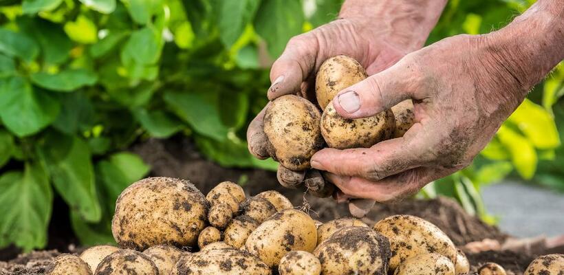 ΥΠΕΣ: Η Κυβέρνηση ενθαρρύνει πρωτοβουλίες για προώθηση κυπριακής γαστρονομίας