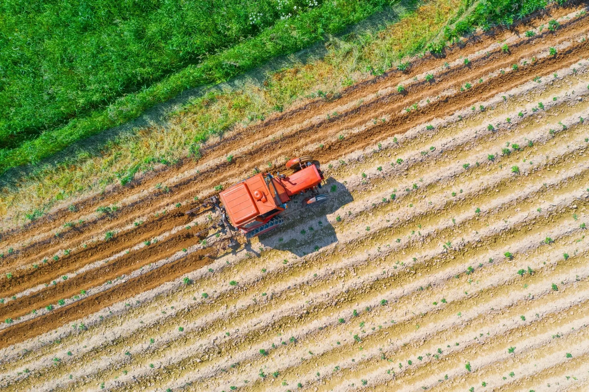 FAO: Καμπανάκι για την υποβάθμιση της γης – Πλήγμα για 1,7 δισ. ανθρώπους