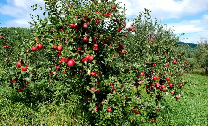 Οι αγρότες θα αποζημιωθούν πρίν από το Πάσχα