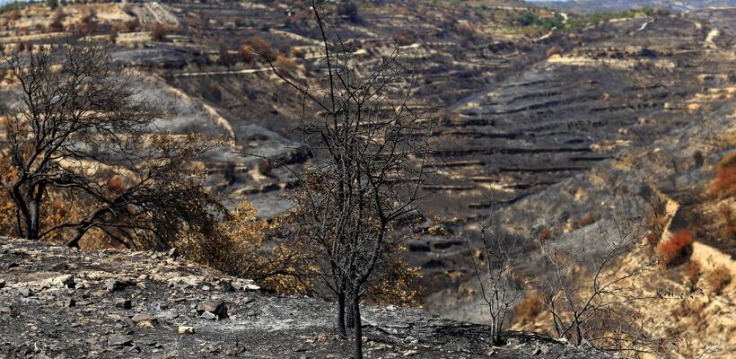 Κουμής: Στόχος η γρήγορη τουριστική ανάκαμψη των πυρόπληκτων κοινοτήτων