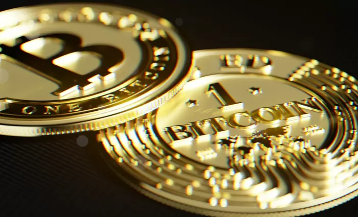 Oικονομολόγος του Χάρβαρντ προέβλεψε πως το bitcoin θα πέσει στα $100