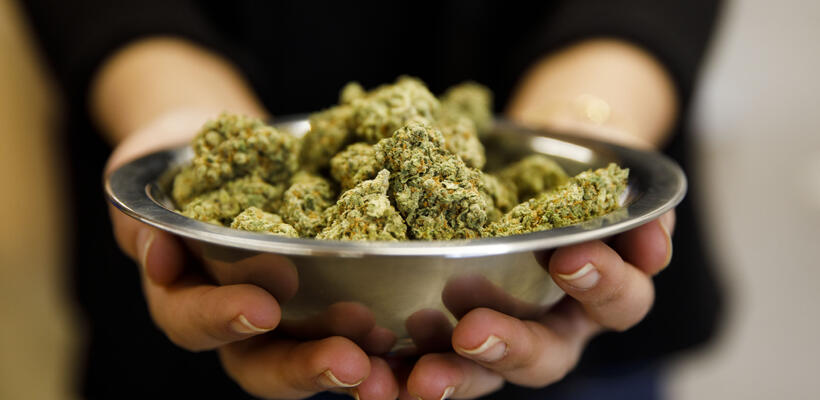 Έπεσε η εφαρμογή παράδοσης μαριχουάνας στο Black Friday της βιομηχανίας