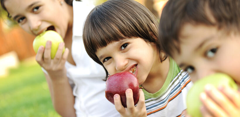 Κονδύλι 250 εκατ. ευρώ για προώθηση κατανάλωσης φρούτων στα σχολεία της ΕΕ