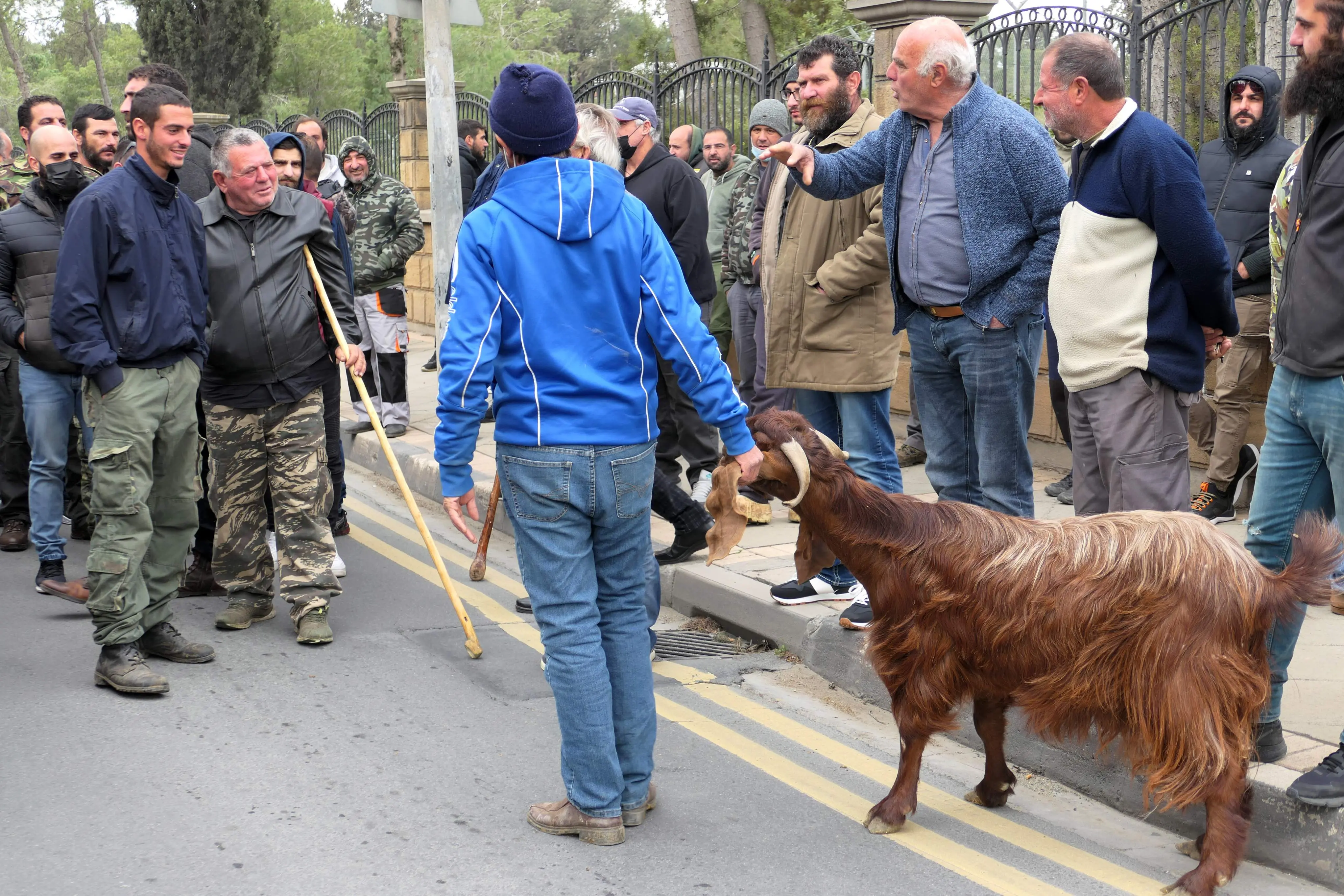 Ο ΚΟΑΠ έχει καταβάλει τα ποσά ενίσχυσης στους αιγοπροβατοτρόφους