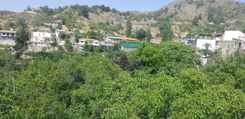 Φεστιβάλ Φουντουκιού στην Πλατανιστάσα