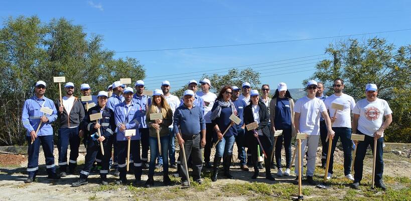 Πνεύμονας πρασίνου στο Μαρί από τη VTTV 