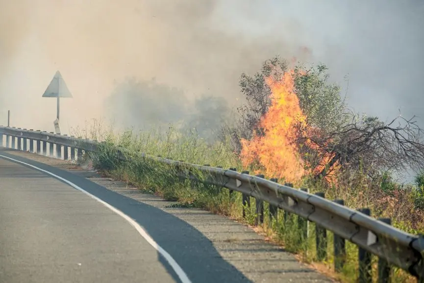 Volt: Η ATF των ΗΠΑ δεν θα αντιμετωπίσει την ουσία του προβλήματος