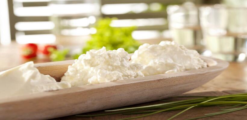 Που θα δημιουργηθεί η πρώτη Παγκύπρια Γαλακτοκομική Σχολή;