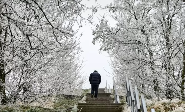 Γερμανία: Τα νοικοκυριά πληρώνουν 31% περισσότερα για ενέργεια από το 2021