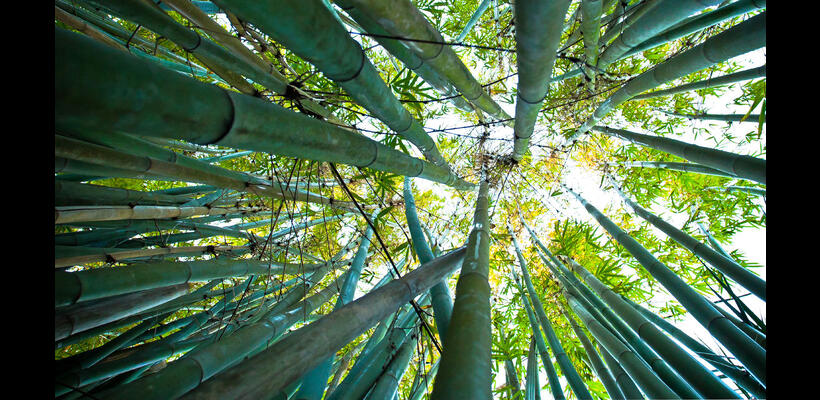 Πως θα χαραχθεί μακροπρόθεσμη ενεργειακή στρατηγική;