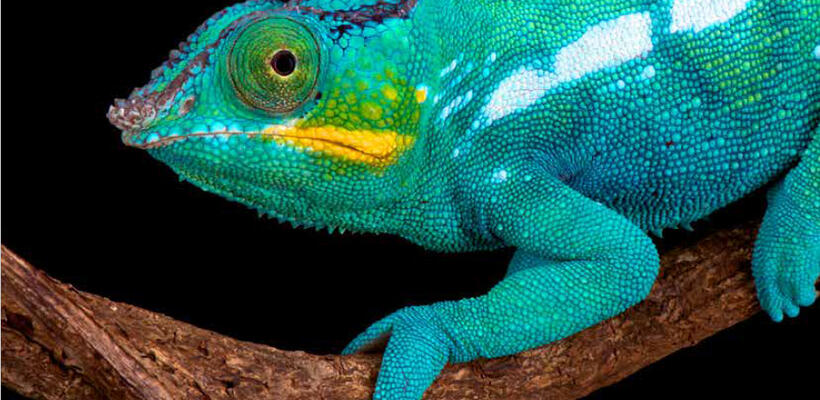 Ο ρόλος του CIO αλλάζει, σύμφωνα με την έρευνα Harvey Nash/KPMG 2018