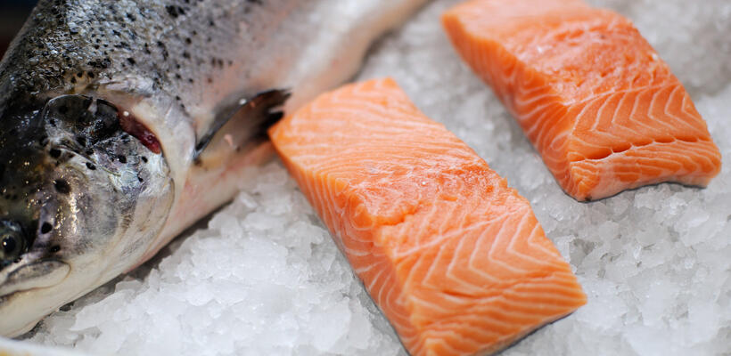 Ο σολομός πέφτει 