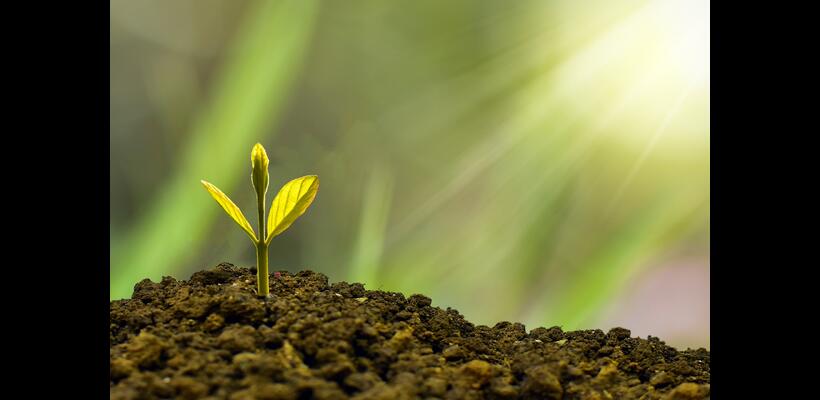 Ο ρόλος της πράσινης χρηματοδότησης για επίτευξη των στόχων της βιώσιμης ανάπτυξης