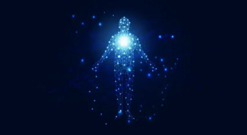 Internet of Bodies: Ξέραμε το Internet of Things. Τι είναι το Internet των Σωμάτων;