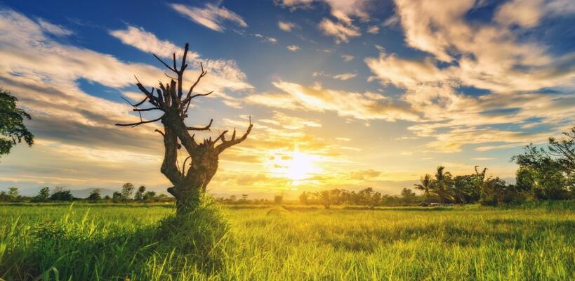 Αντιδράσεις στην Ευρώπη για τον κλιματικό στόχο του 2040