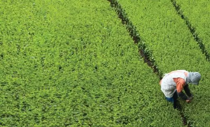 KPMG GPI 2019: Η Ευρώπη πρωτοστατεί στο παγκόσμιο επιχειρηματικό γίγνεσθαι