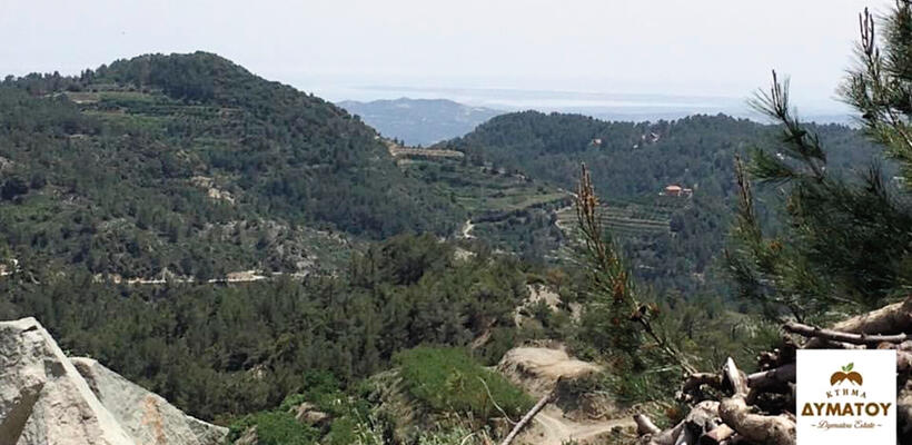 Κτήμα Δυμάτου: Ένα όνειρο που έγινε πραγματικότητα