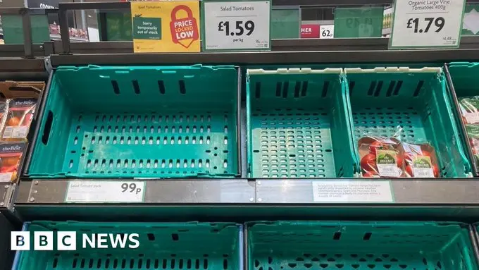 Ξέμεινε από ντομάτες η Βρετανία - Τι λένε τα μεγάλα σούπερ μάρκετ